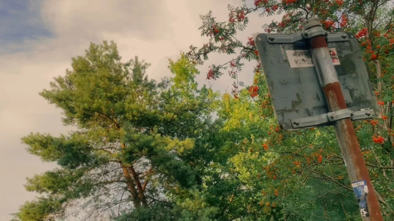 No Men‘s World backdrop