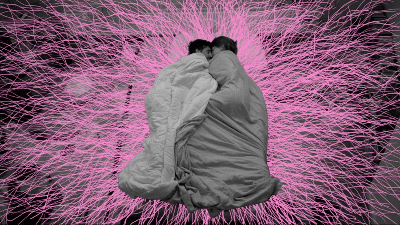 Je suis resté dans les bois backdrop