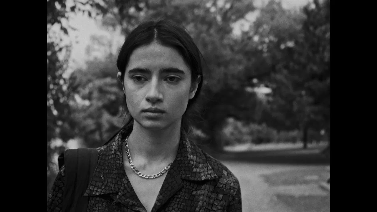 The Flower Darkens backdrop