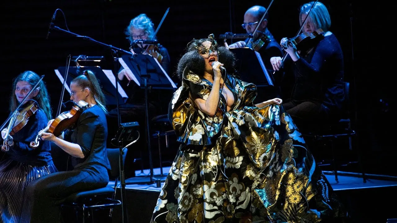 Björk Orkestral backdrop