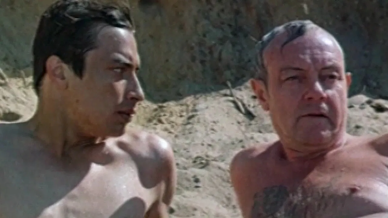 Preference on Fridays backdrop