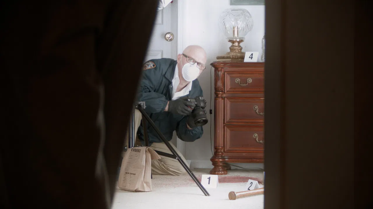 Sometime the Wolf backdrop