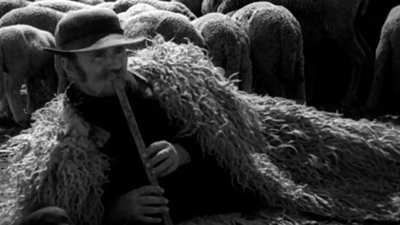 Life on the Hortobagy backdrop