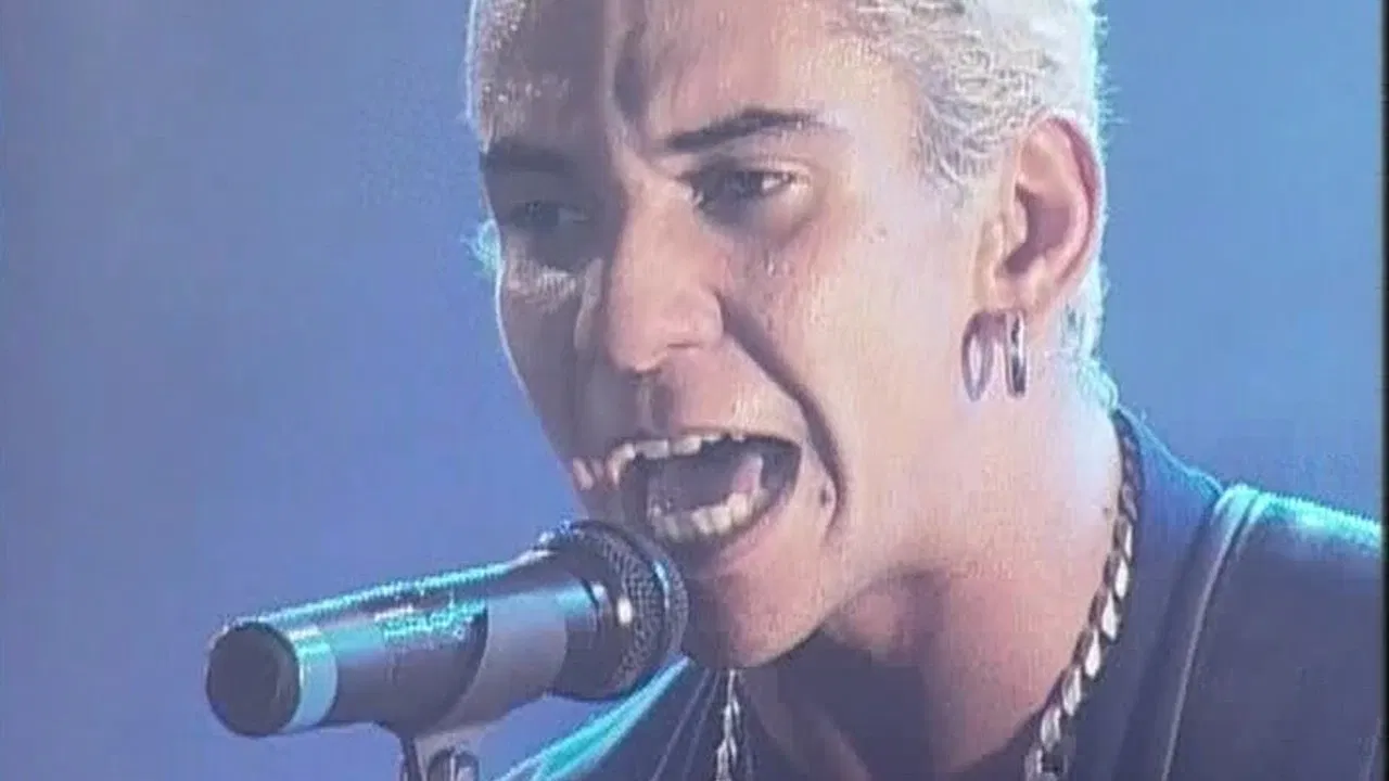 Raimundos - MTV ao Vivo backdrop