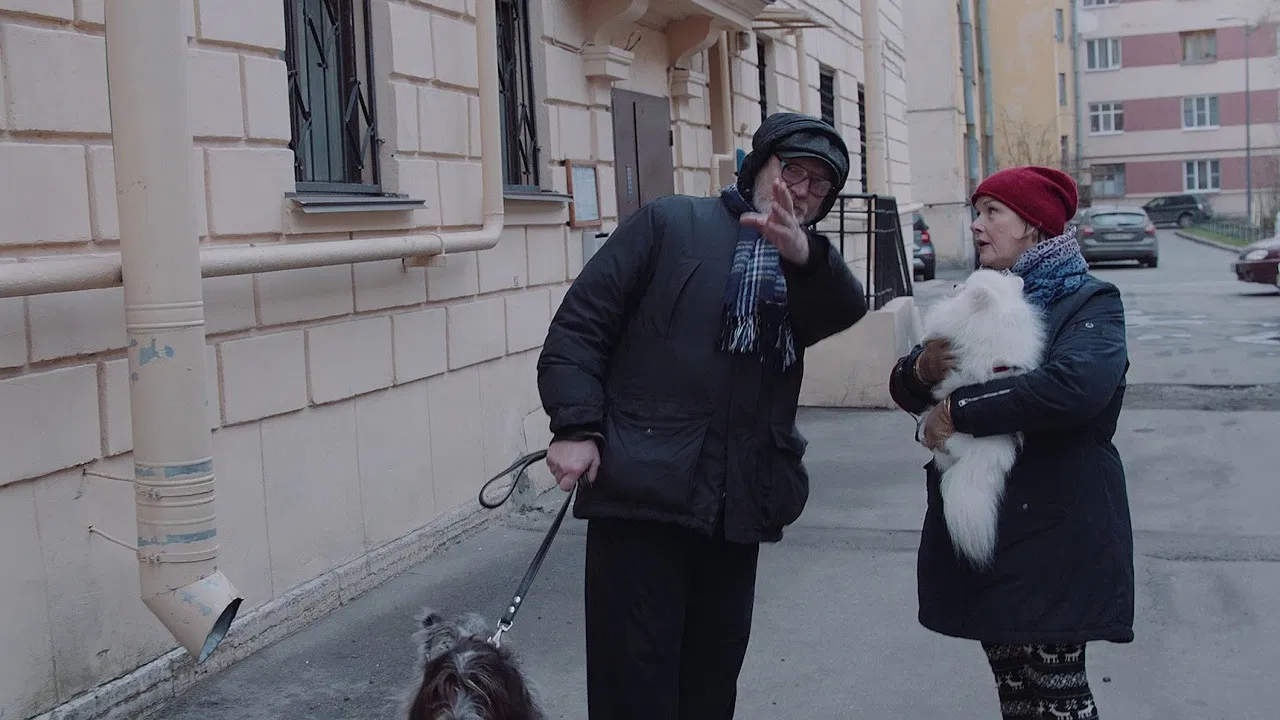 Late Autumn backdrop