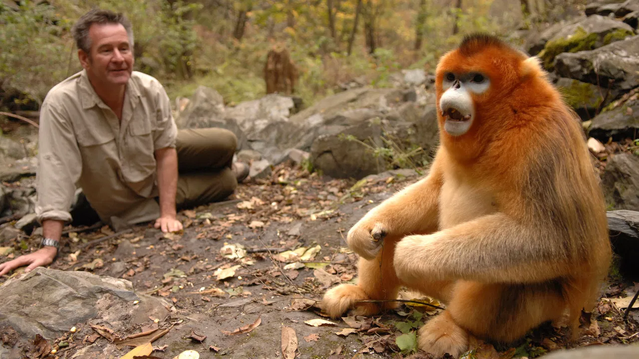 Untamed China backdrop