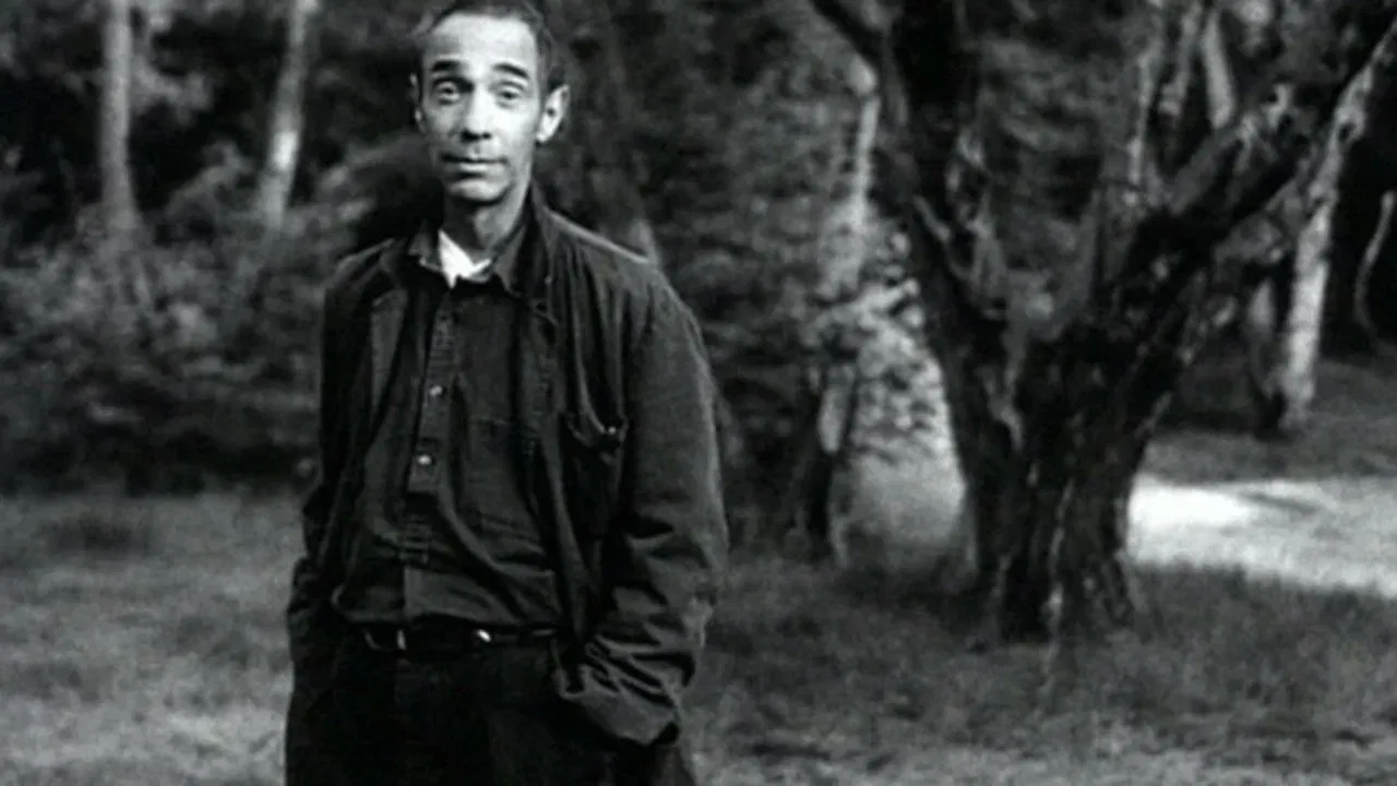 The Clearing backdrop