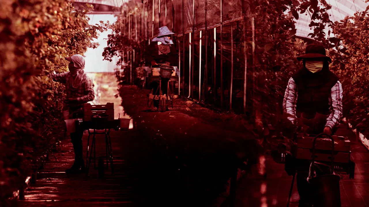 Efeito de Estufa backdrop