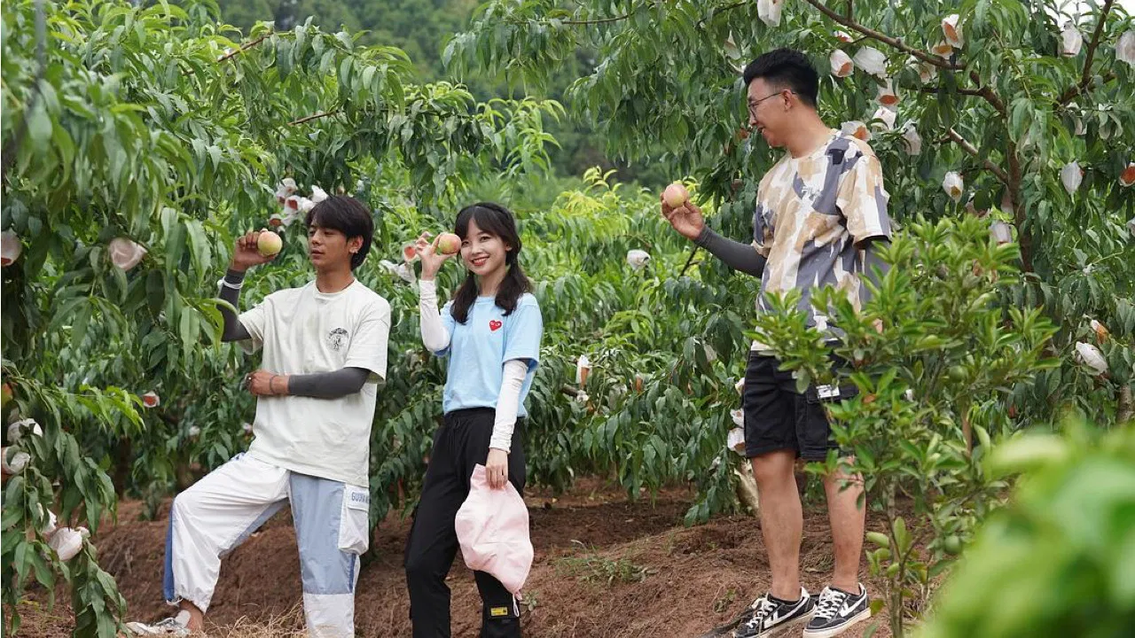 生活有点“田” backdrop