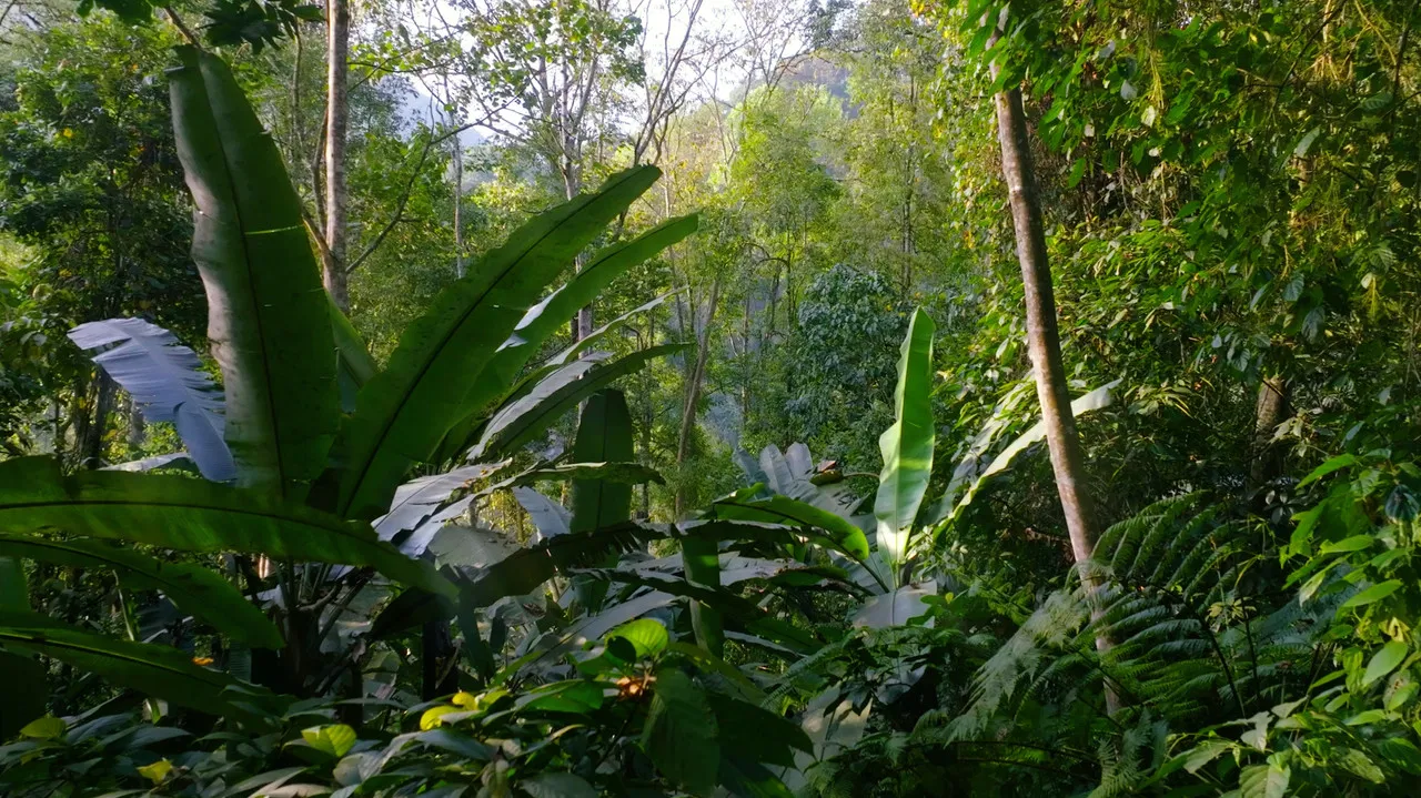 Living Spectacles backdrop