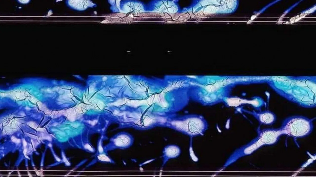 The Cracked Share backdrop