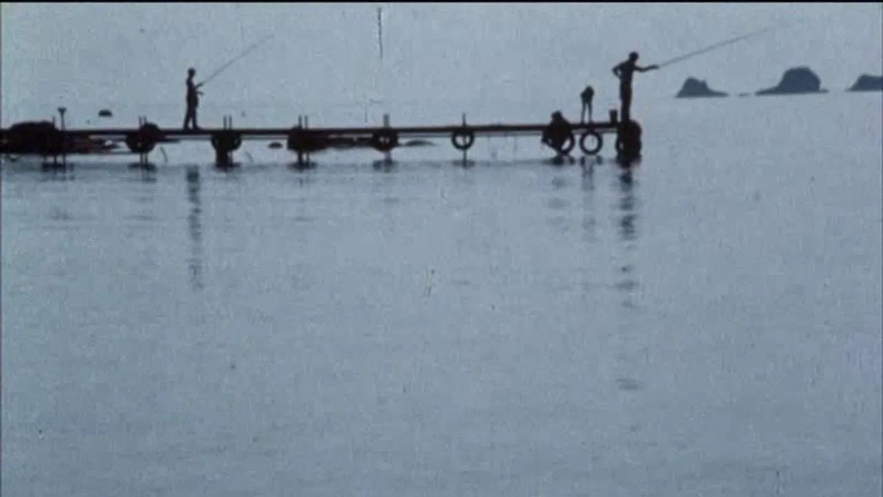 Point of Noon backdrop