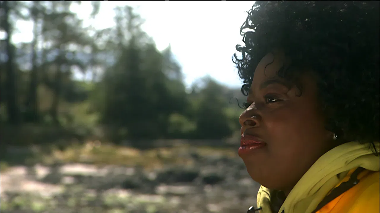 Angie Stone - Live In Vancouver Island backdrop
