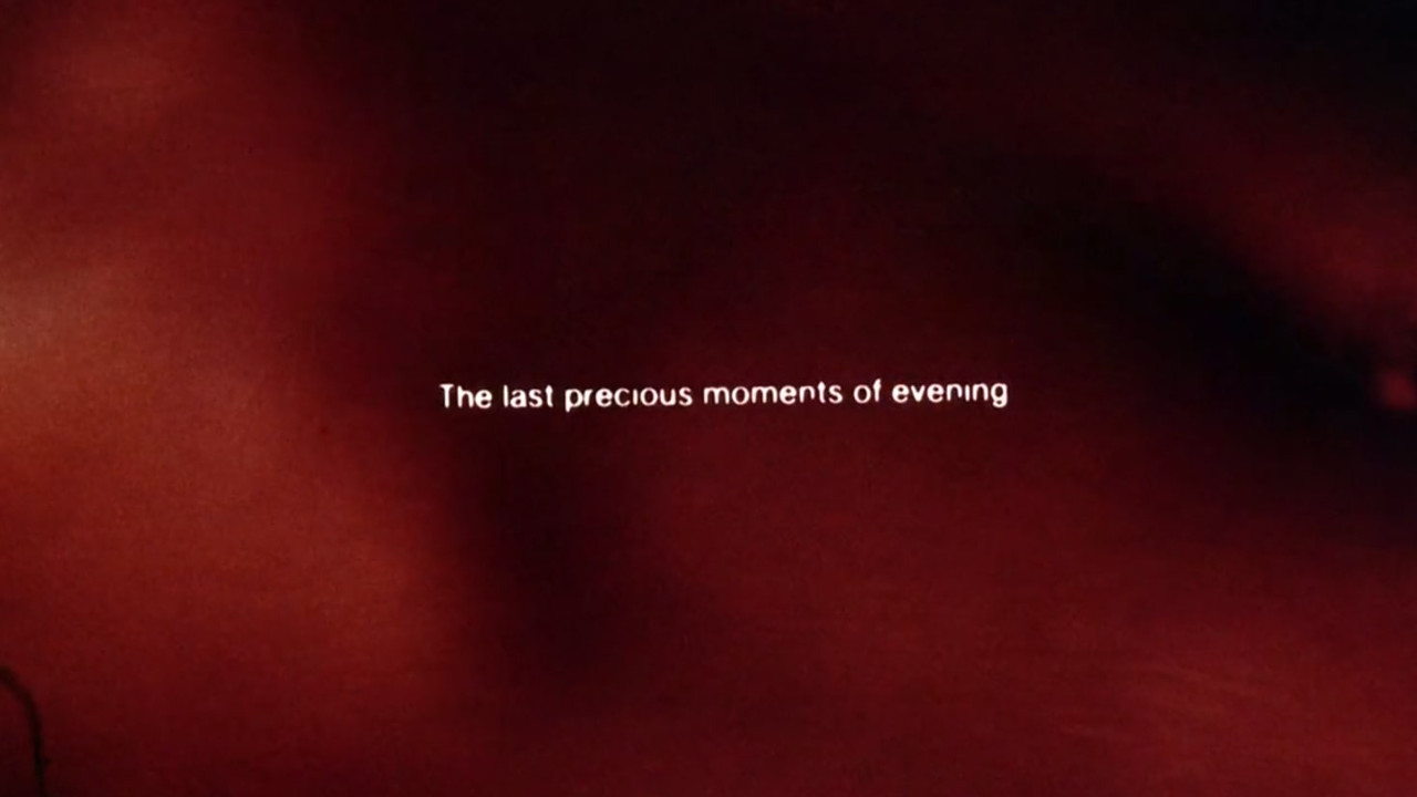 Illuminated Texts backdrop