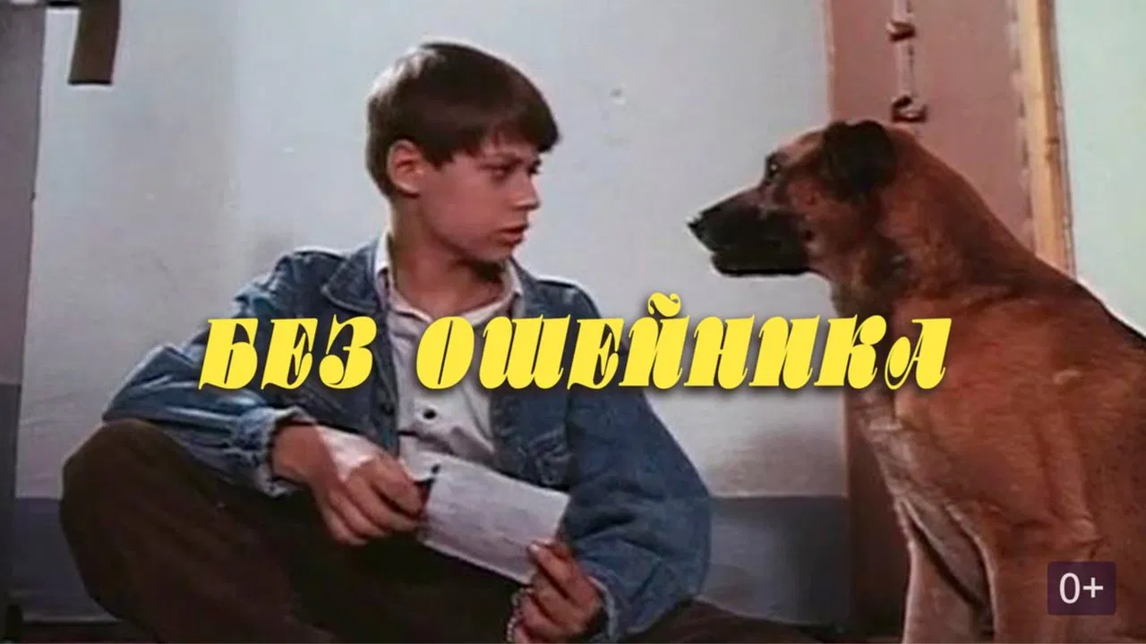 Without a Collar backdrop