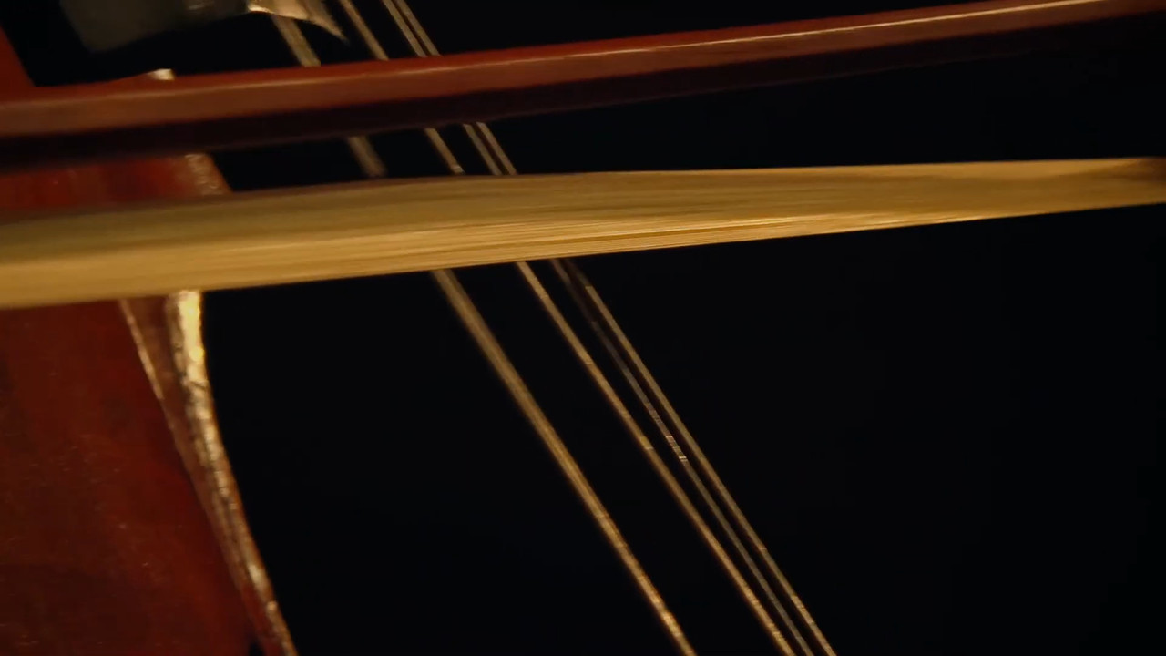 Aliment Roots backdrop