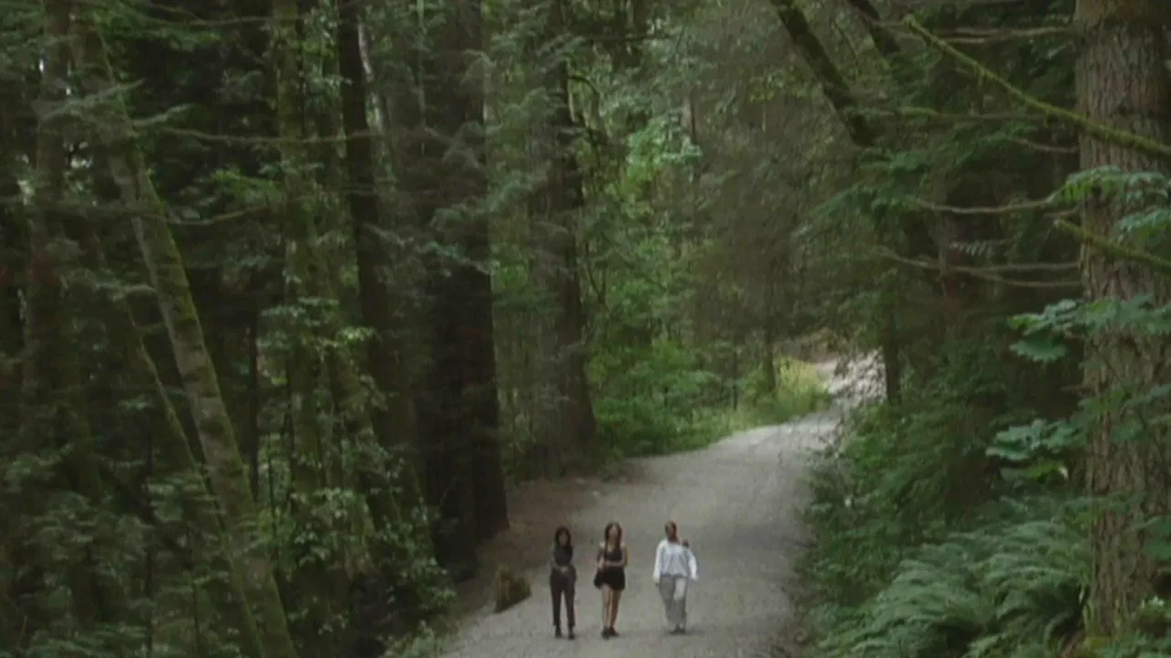 You Hide in Hope backdrop