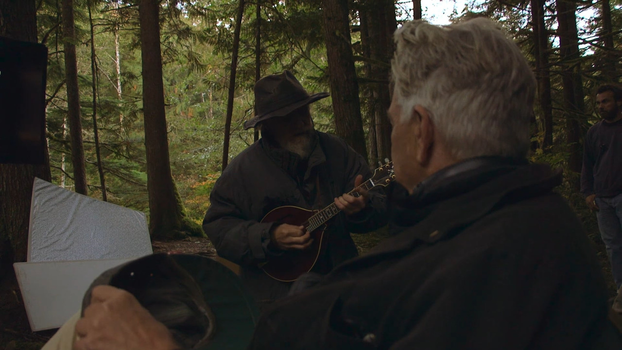 The Man with the Gray Elevated Hair backdrop