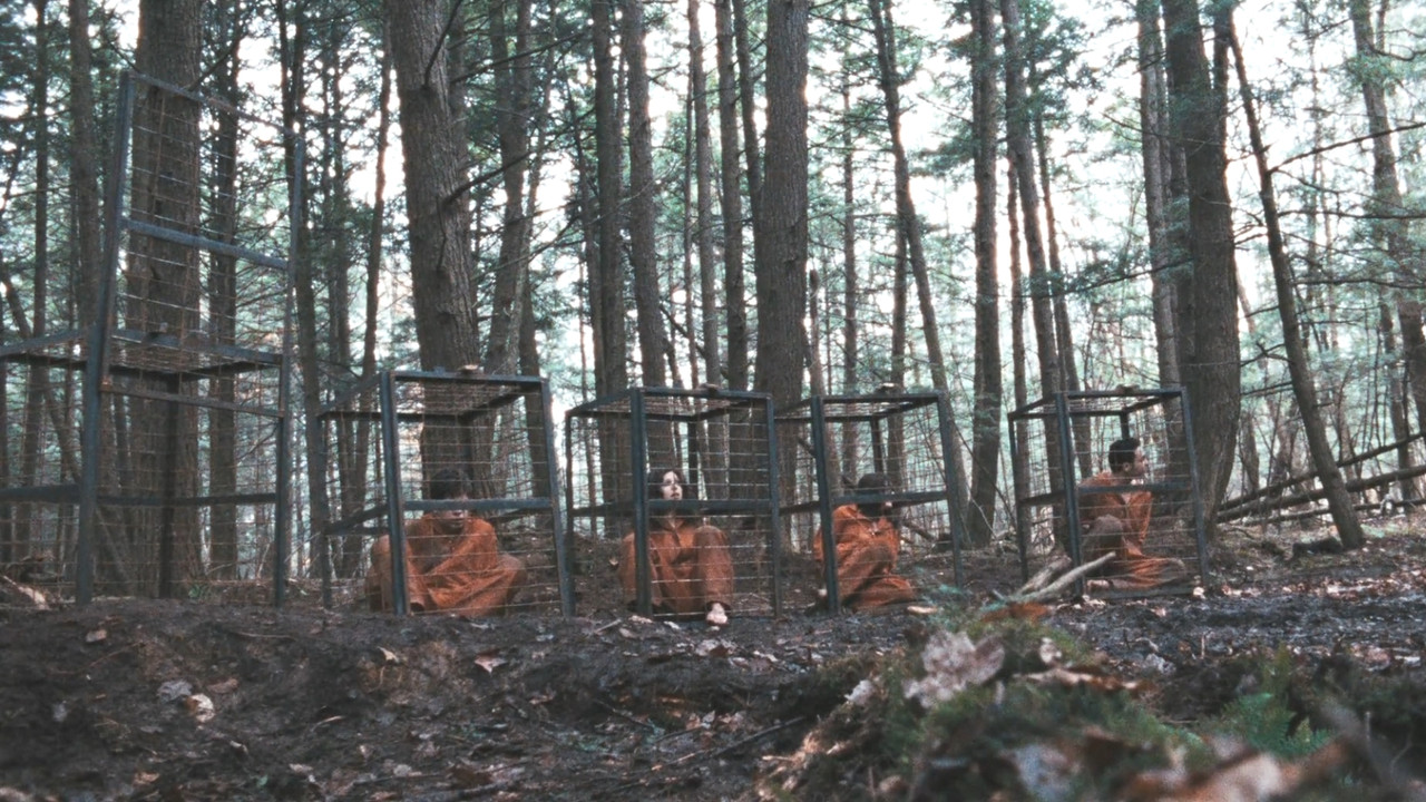 Territories backdrop