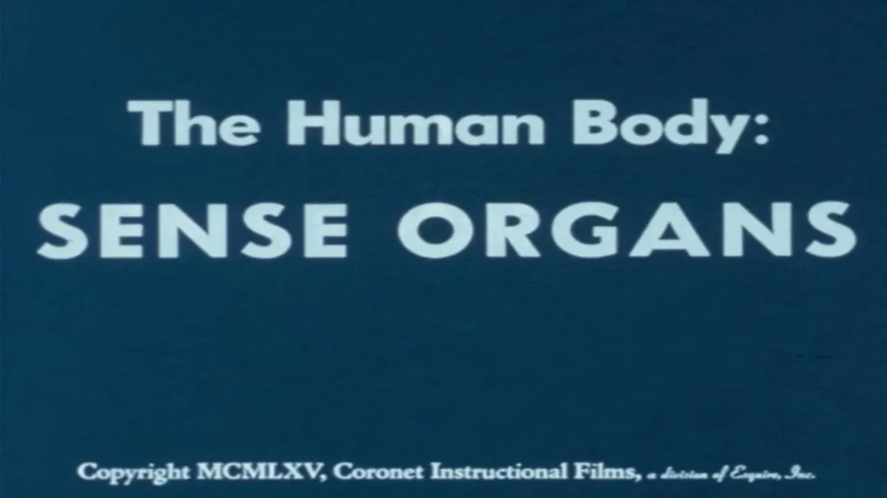 The Human Body: Sense Organs backdrop