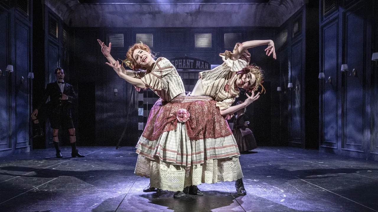 Elefantazie backdrop