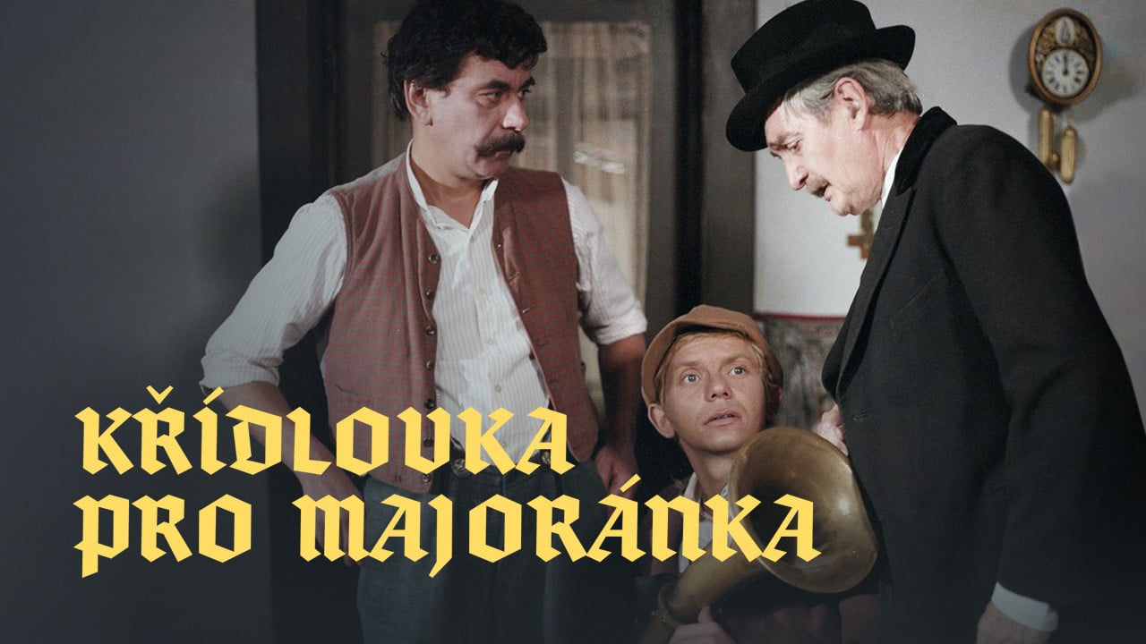 Křídlovka pro Majoránka backdrop