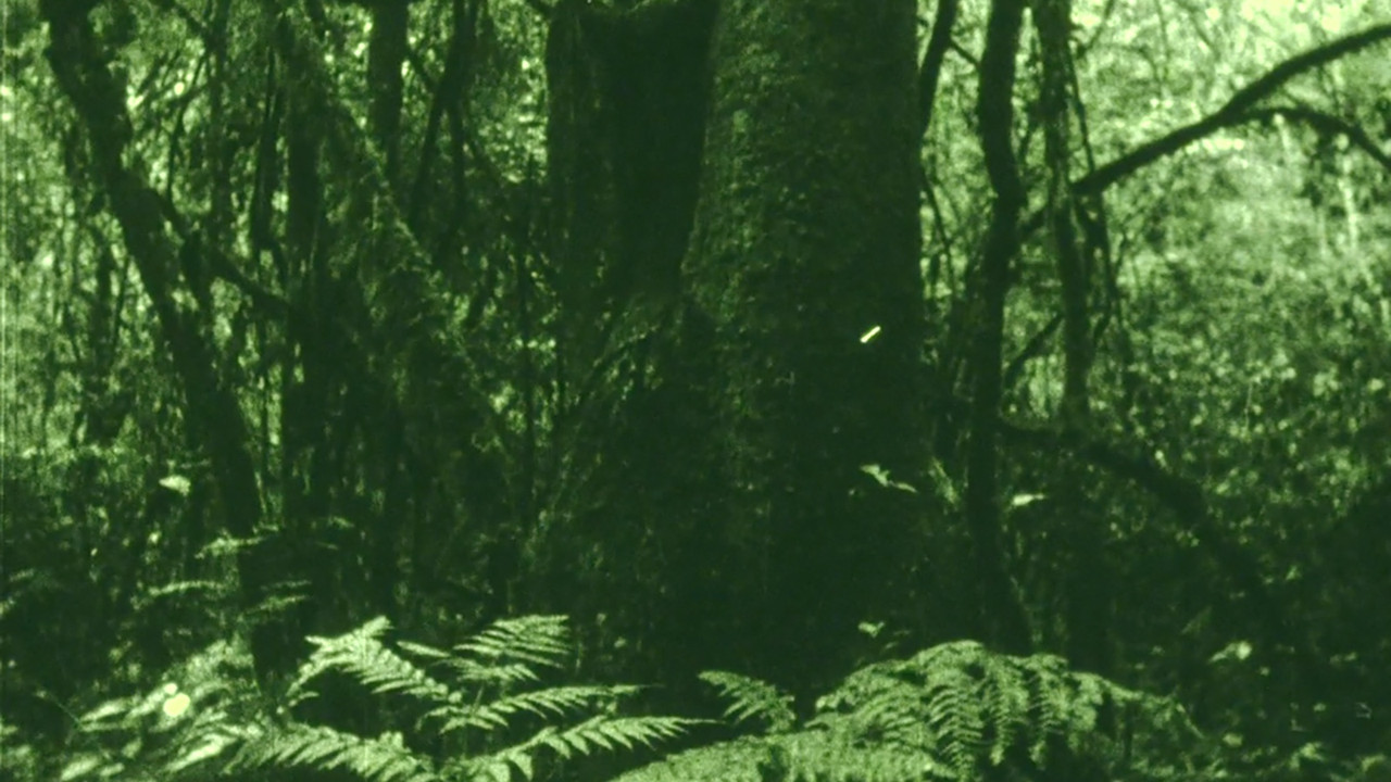 The Eyes in the Woods and the Taste in the Water backdrop