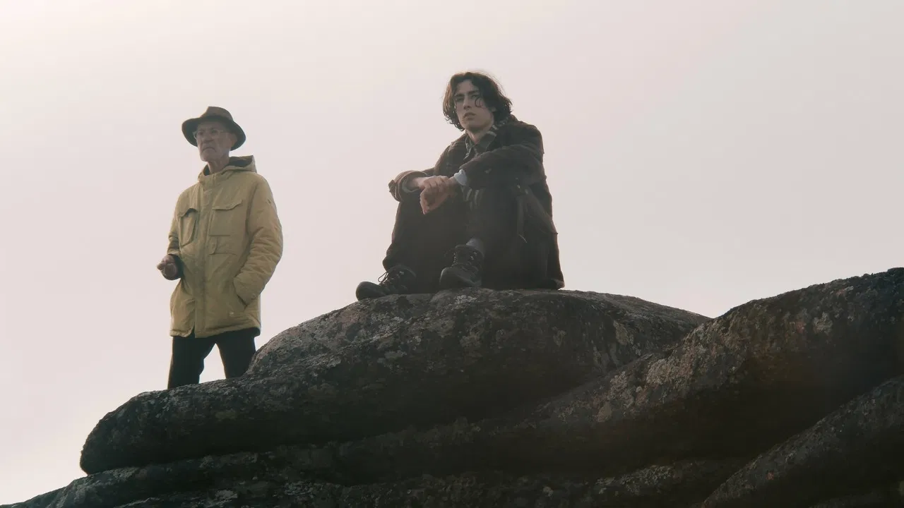 D Is for Distance backdrop