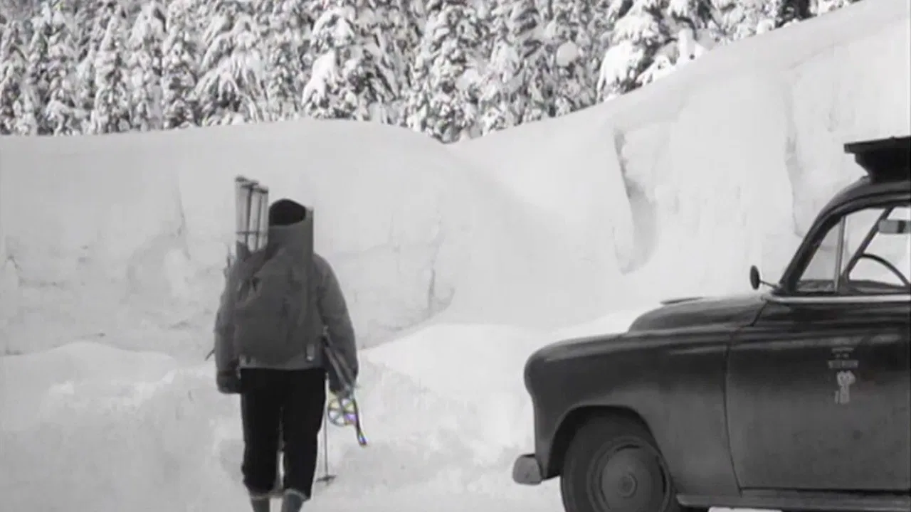 White Peril backdrop