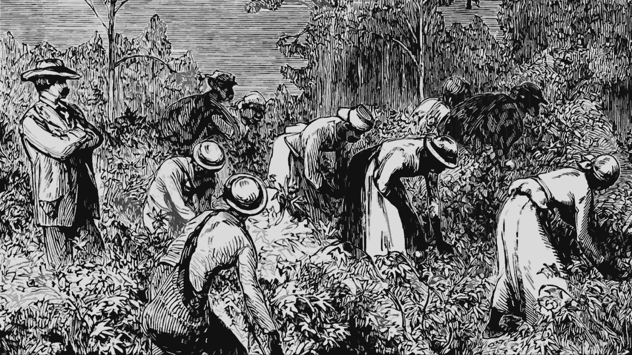 The Long Shadow backdrop