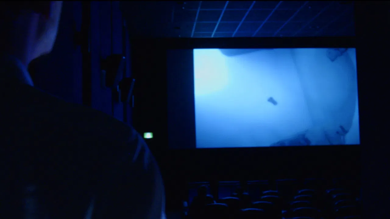 Blue Heaven backdrop