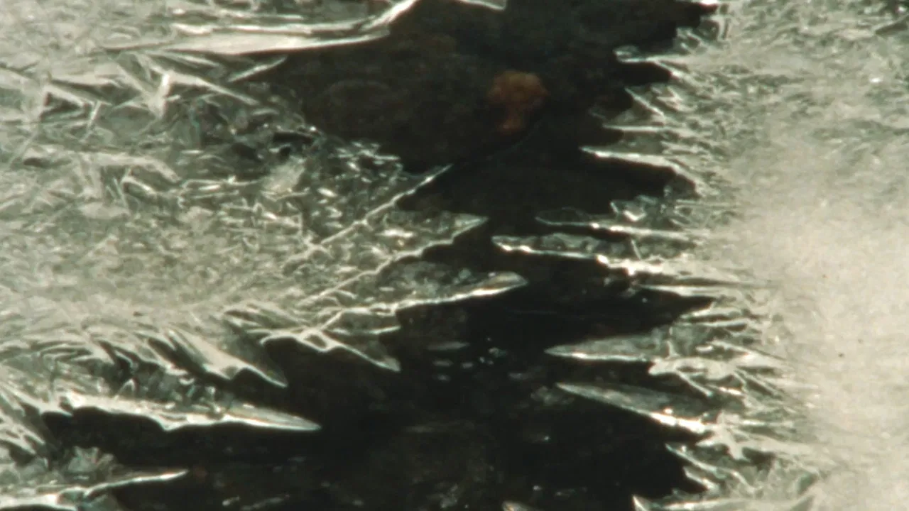 Winter's End backdrop