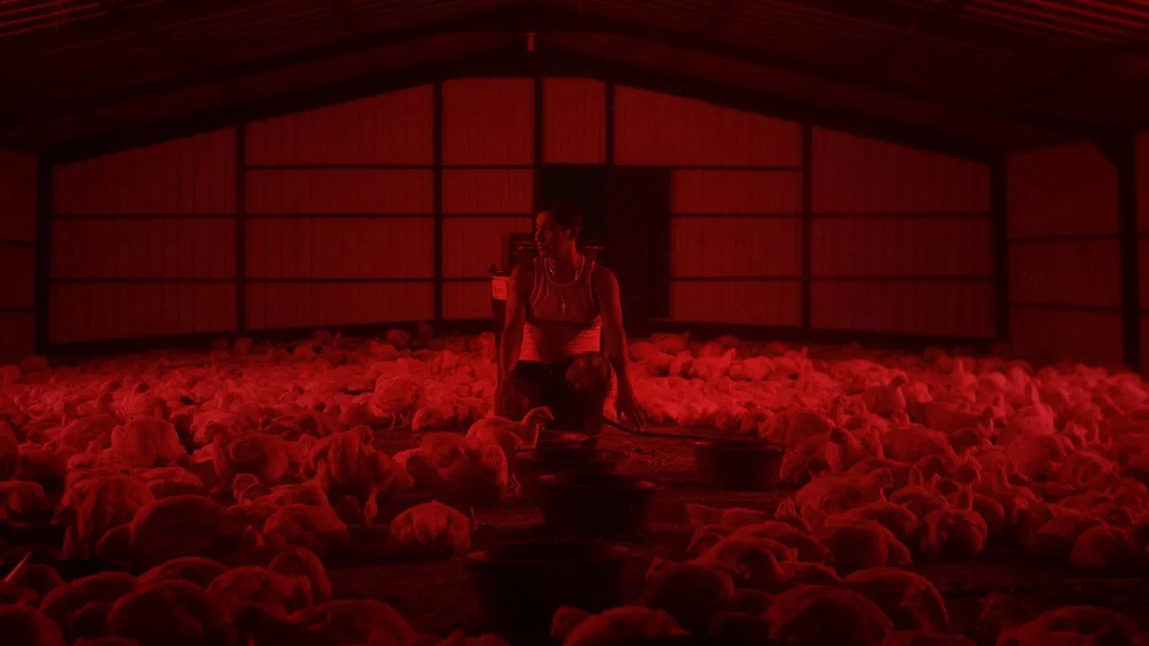 Lovers in the Sky backdrop