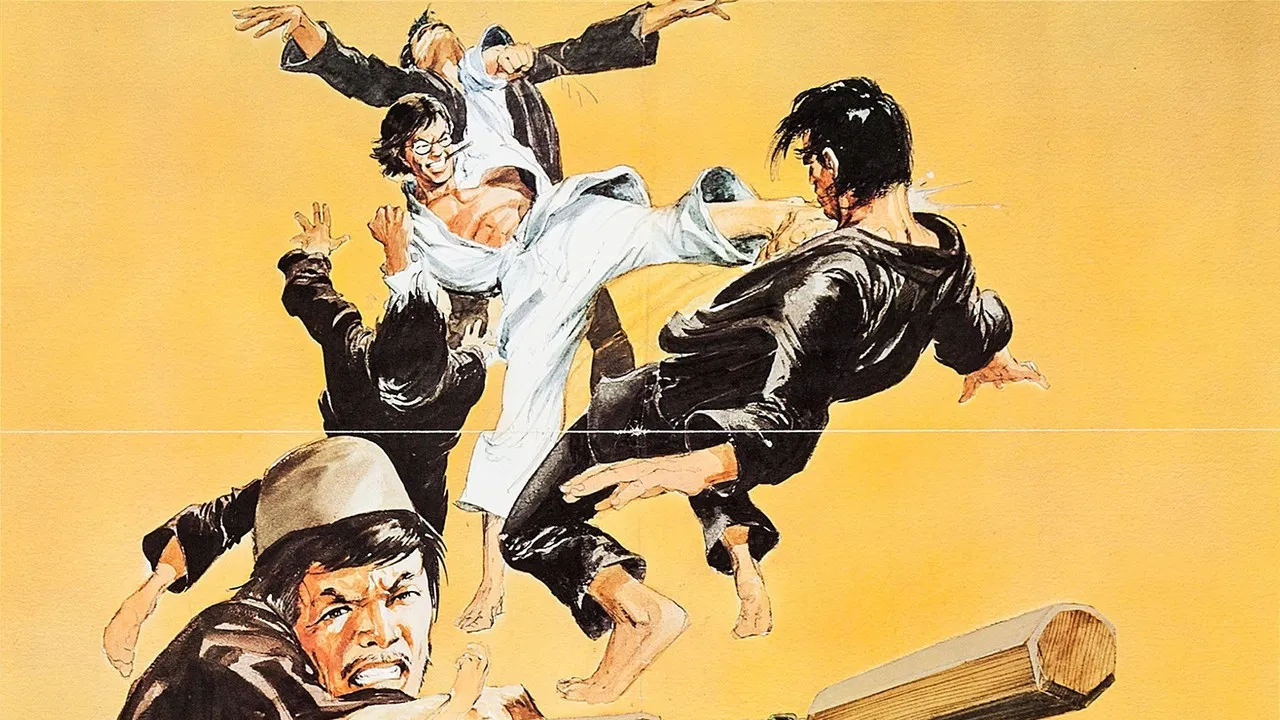 Wits to Wits backdrop