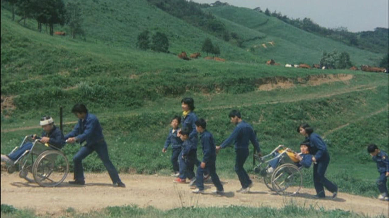 The Silk Tree Ballad backdrop