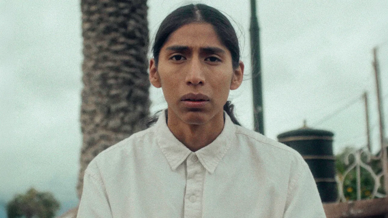 Chronicle of an Inherited Sorrow backdrop