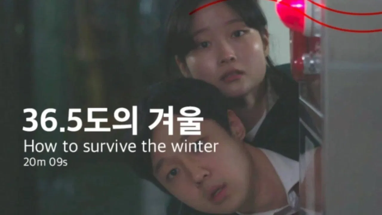 How to survive the winter backdrop