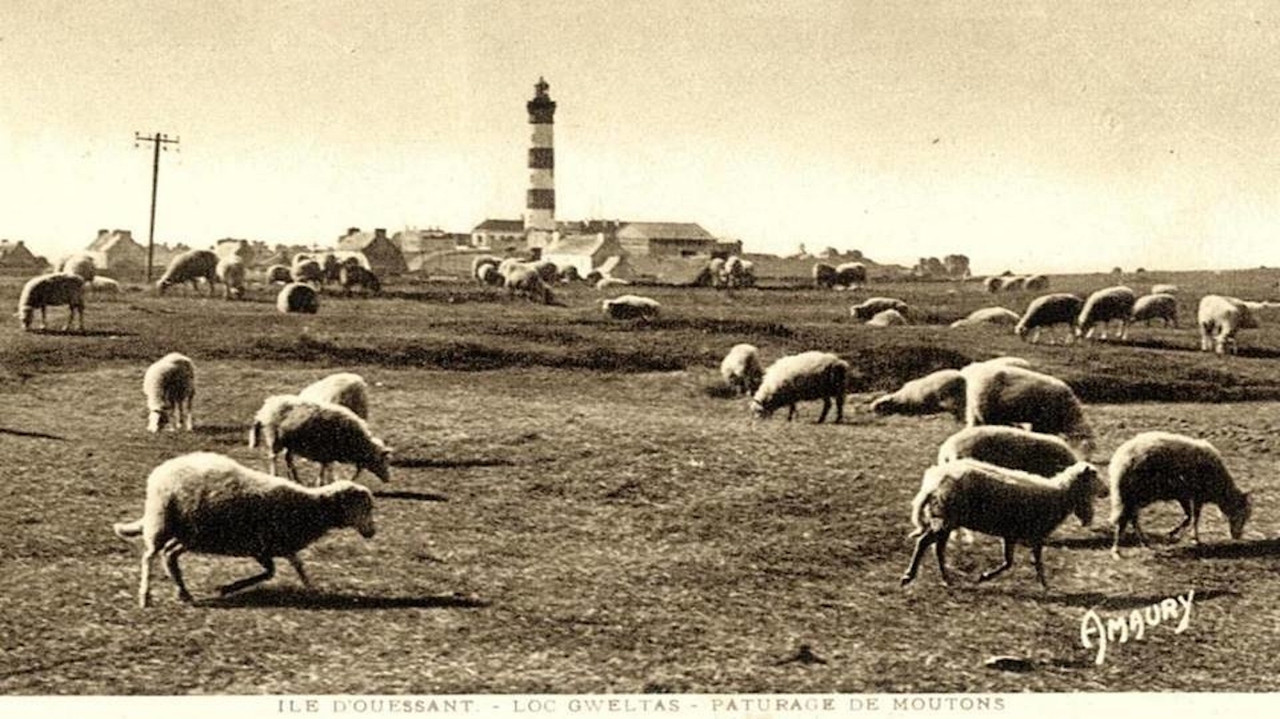 There was oil in Ouessant island backdrop