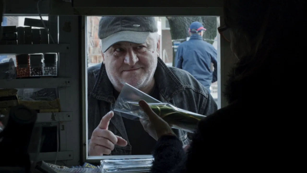 Through the Window backdrop