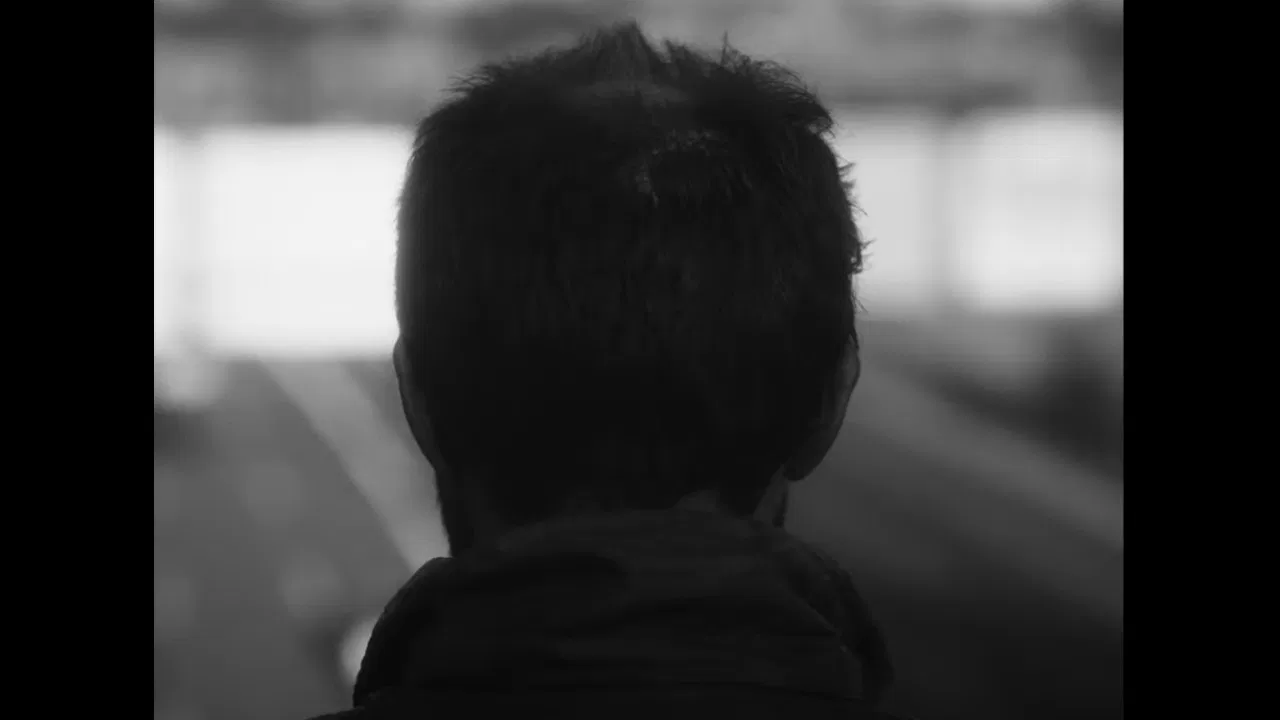 Cerré los ojos y me hablaron las hormigas backdrop