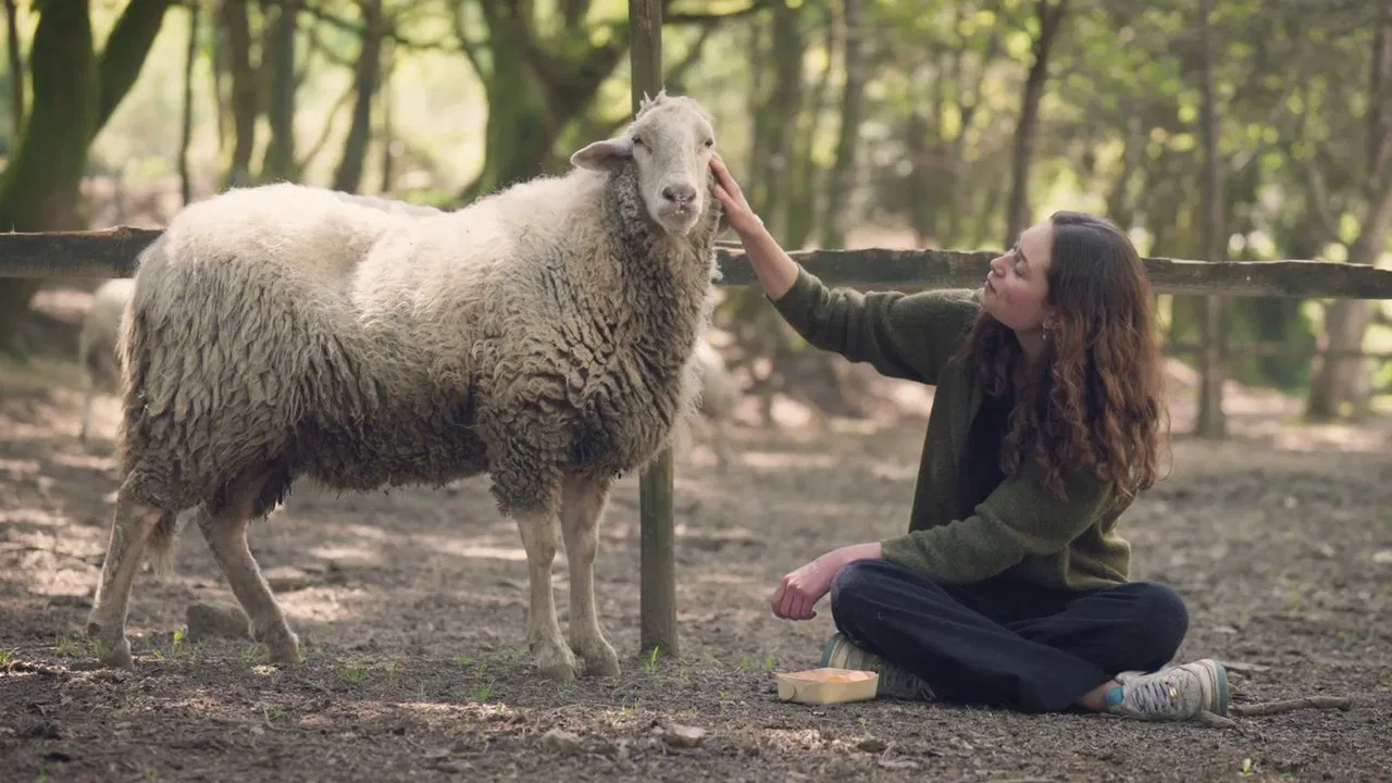 Carne: The Unsustainable Footprint backdrop