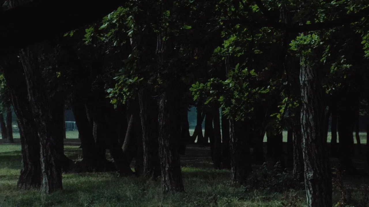 Le Navire Night backdrop