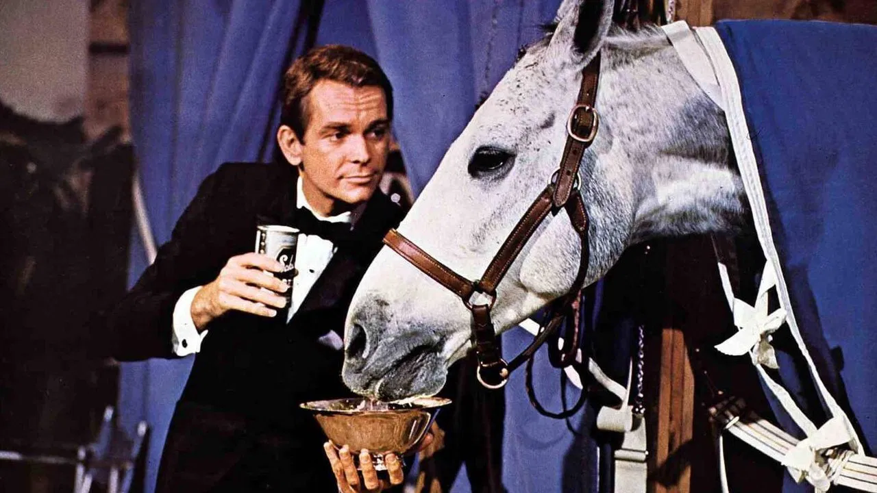 The Horse in the Gray Flannel Suit backdrop