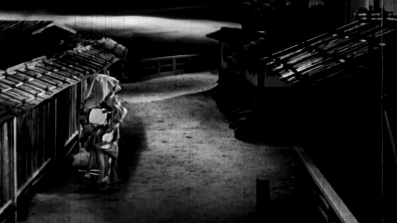 The Ghost Cat and the Mysterious Shamisen backdrop