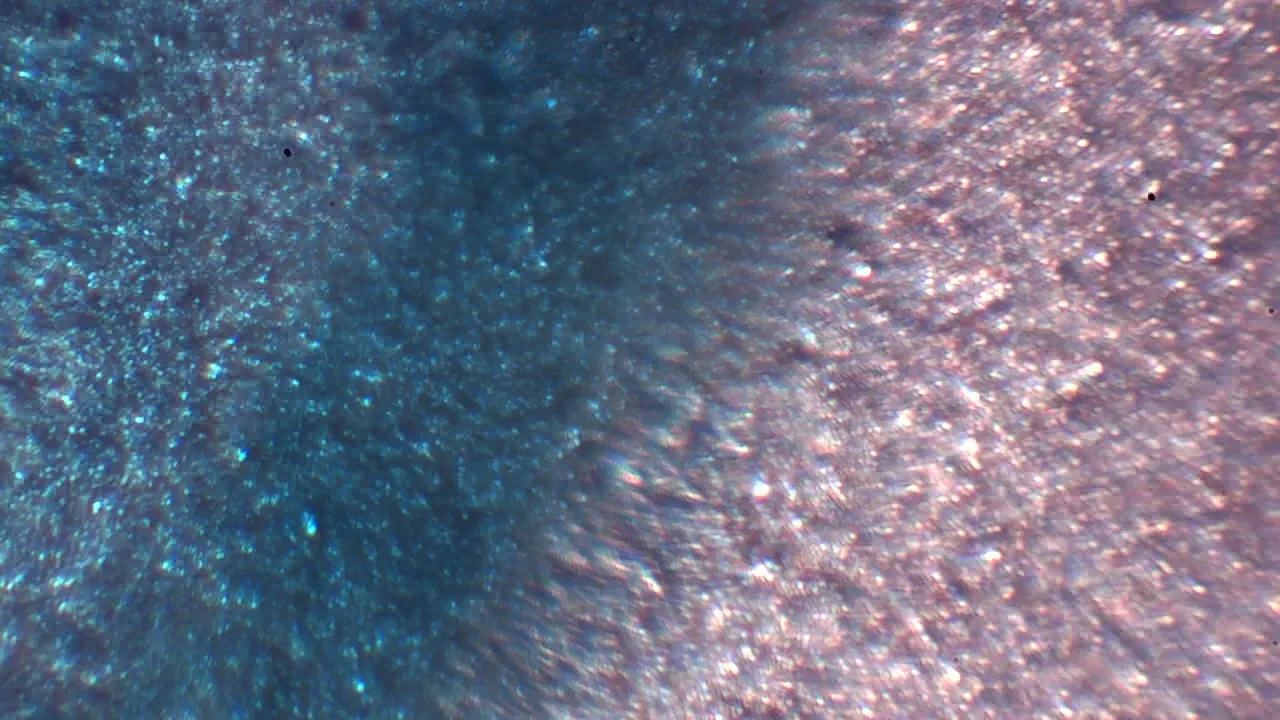 The Fly of Theseus backdrop