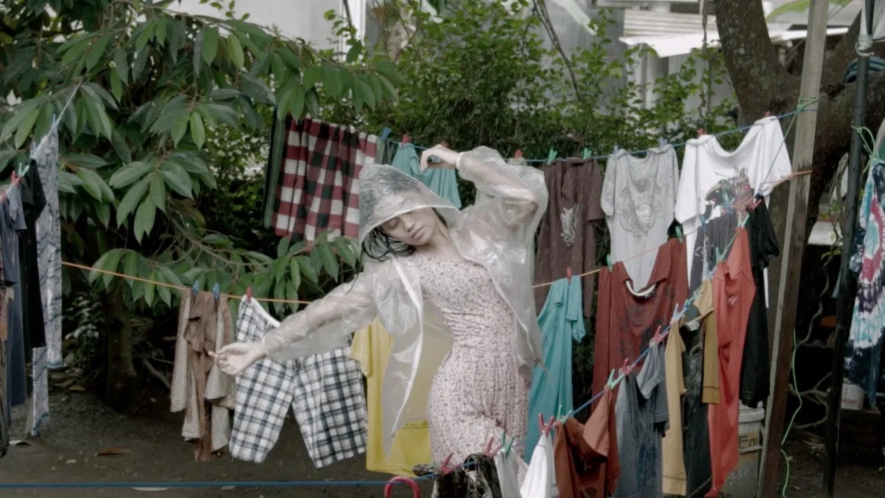 Dry Season in My House backdrop