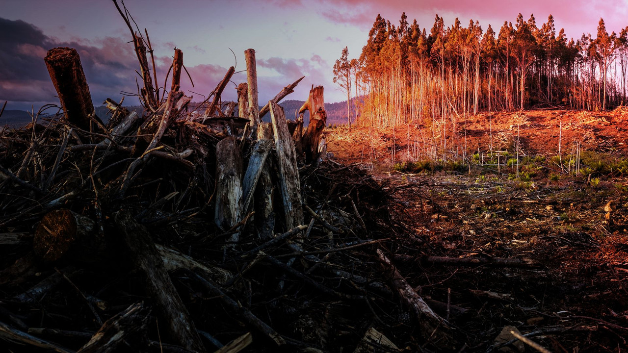 Atlas of a Changing Earth backdrop