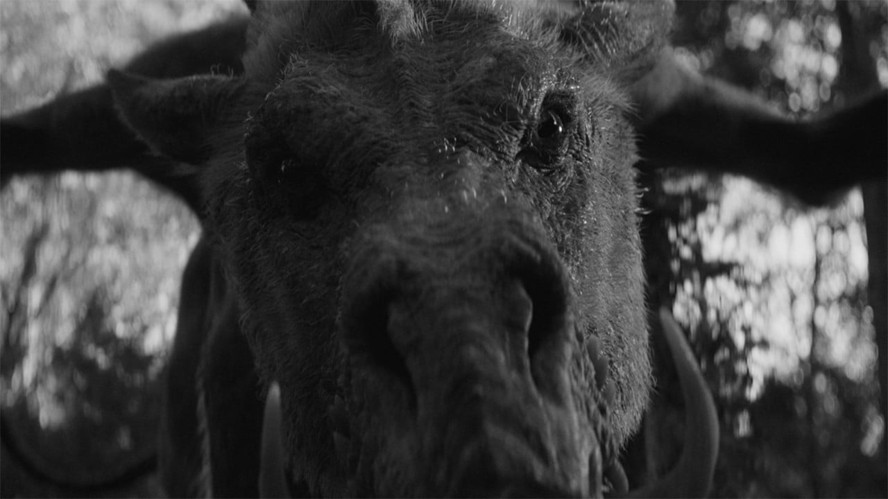 Em & Selma Go Griffin Hunting backdrop