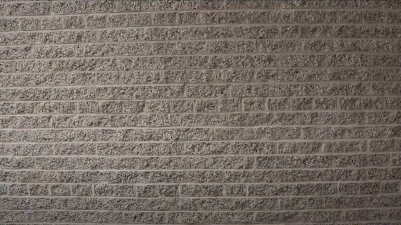 B A C K R O O M S backdrop