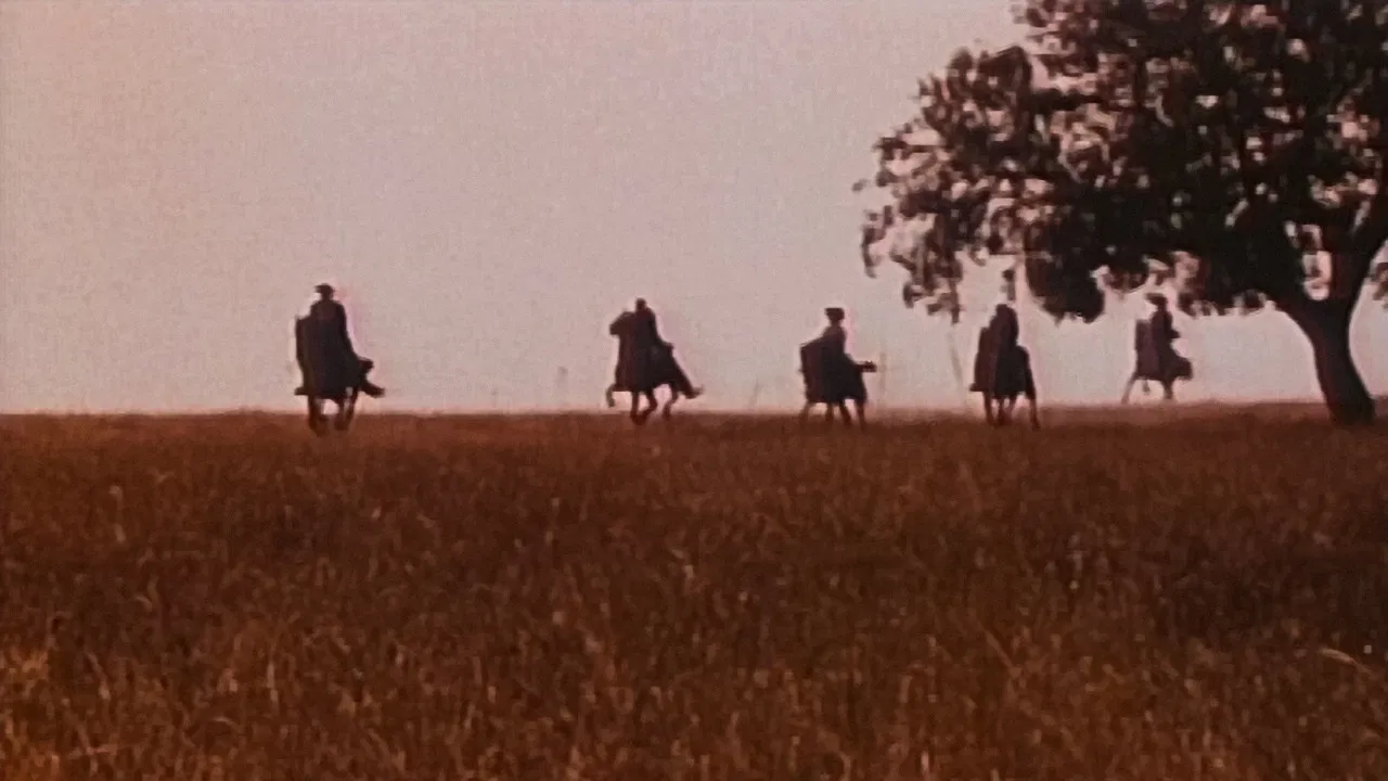 Alentejo Sem Lei backdrop